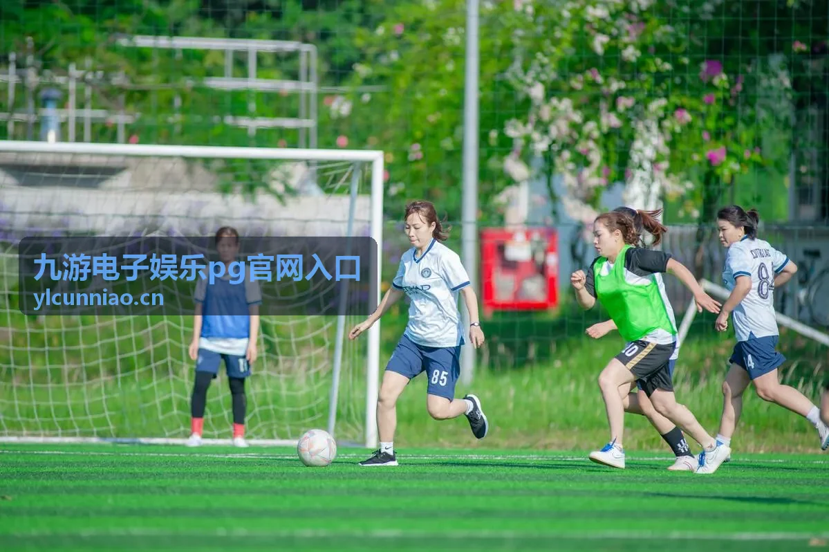 九游电子娱乐pg官网入口玩法分类讲解封面